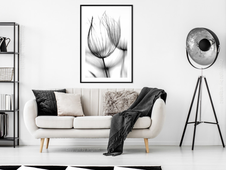 Wall Poster Dandelion in the Wind - black dandelion flower on a contrasting background 129777 additionalImage 23