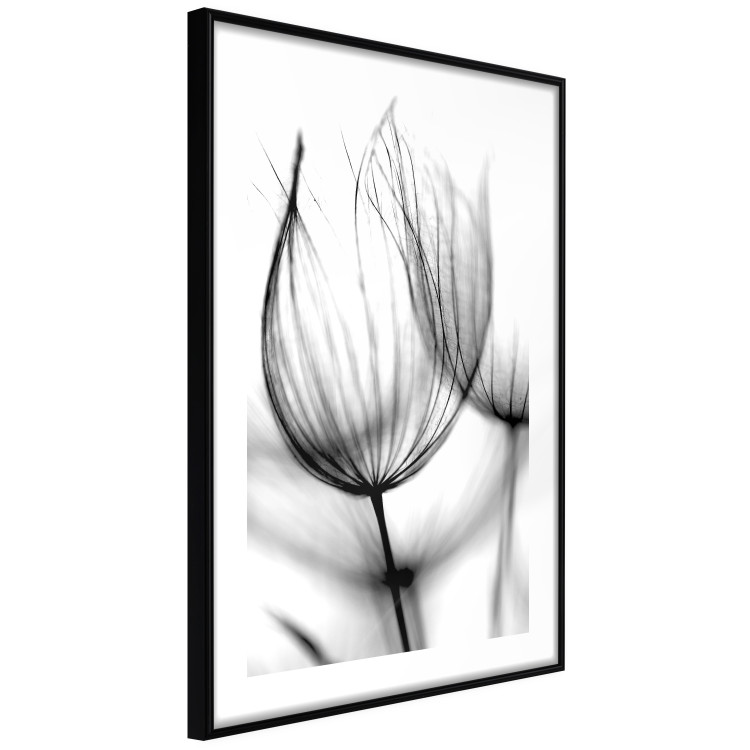 Wall Poster Dandelion in the Wind - black dandelion flower on a contrasting background 129777 additionalImage 6