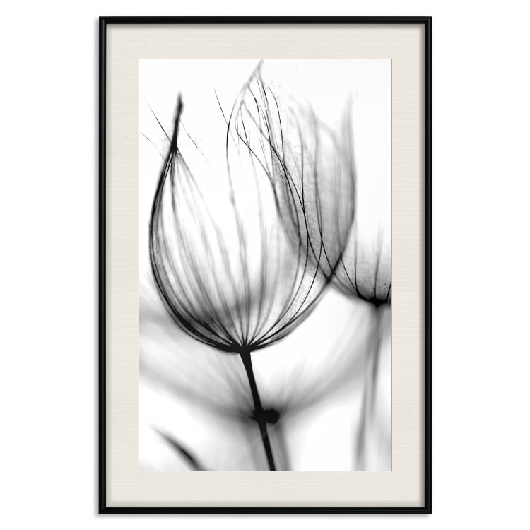 Wall Poster Dandelion in the Wind - black dandelion flower on a contrasting background 129777 additionalImage 19