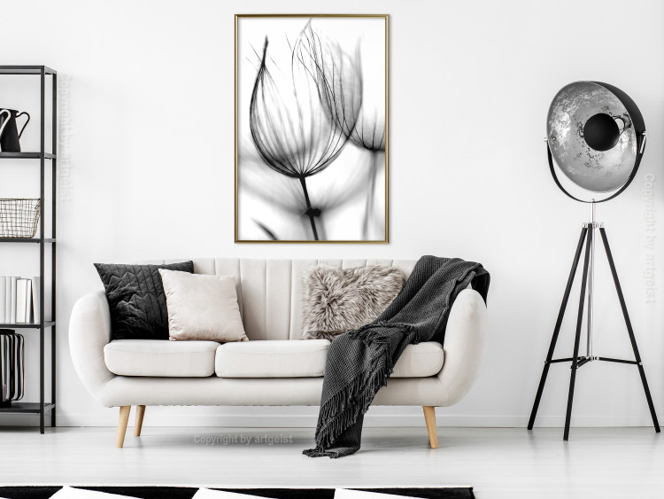 Wall Poster Dandelion in the Wind - black dandelion flower on a contrasting background 129777 additionalImage 7