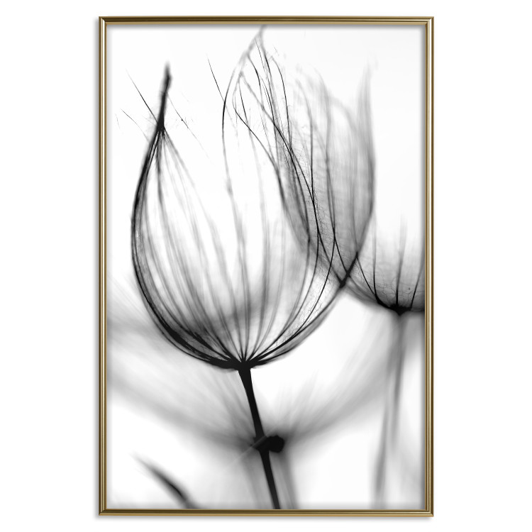 Wall Poster Dandelion in the Wind - black dandelion flower on a contrasting background 129777 additionalImage 21