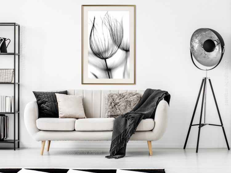 Wall Poster Dandelion in the Wind - black dandelion flower on a contrasting background 129777 additionalImage 22