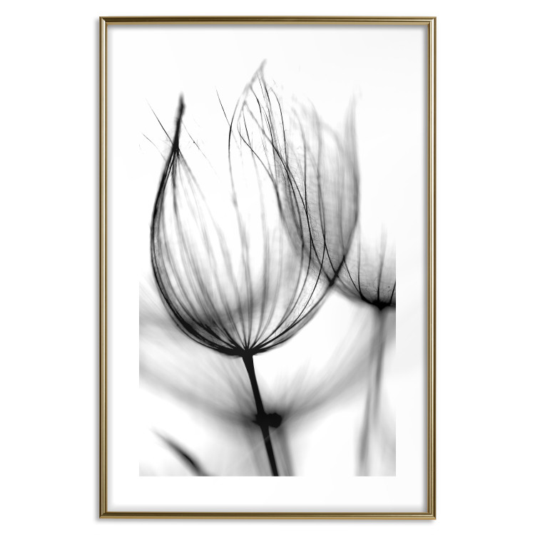 Wall Poster Dandelion in the Wind - black dandelion flower on a contrasting background 129777 additionalImage 14