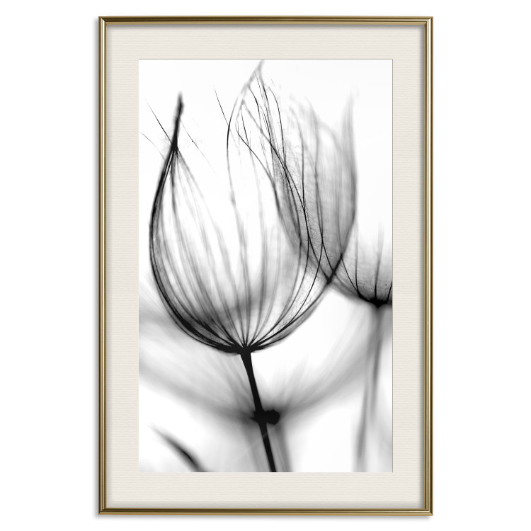 Wall Poster Dandelion in the Wind - black dandelion flower on a contrasting background 129777 additionalImage 20