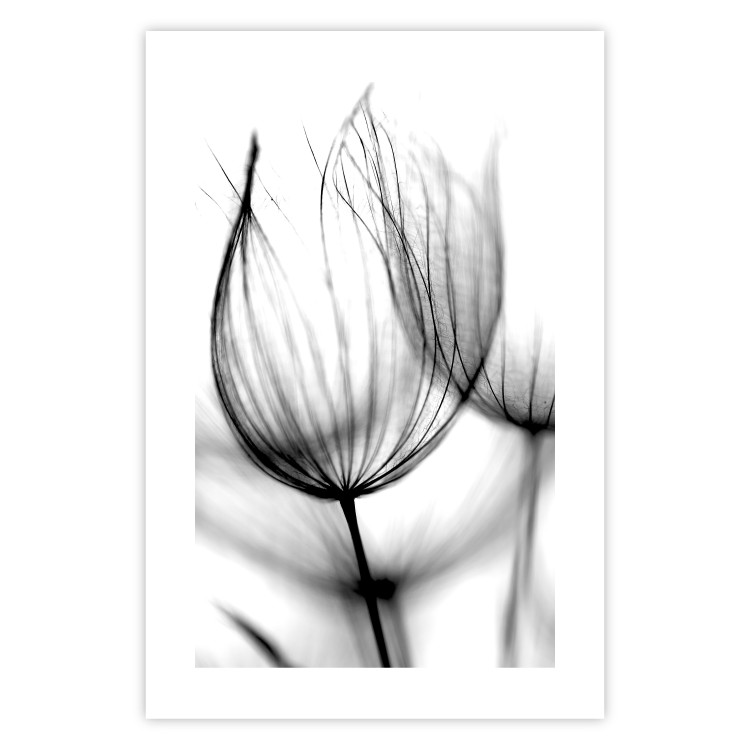 Wall Poster Dandelion in the Wind - black dandelion flower on a contrasting background 129777 additionalImage 25