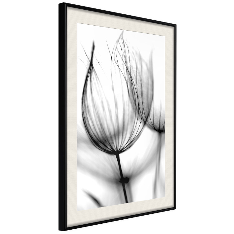 Wall Poster Dandelion in the Wind - black dandelion flower on a contrasting background 129777 additionalImage 2