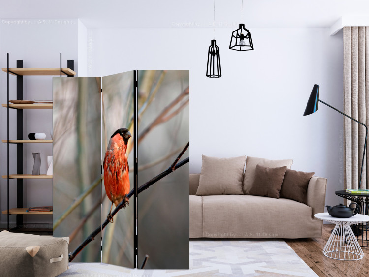 Room Divider Bullfinch in the Forest (3-piece) - red bird among tree branches 133377 additionalImage 4