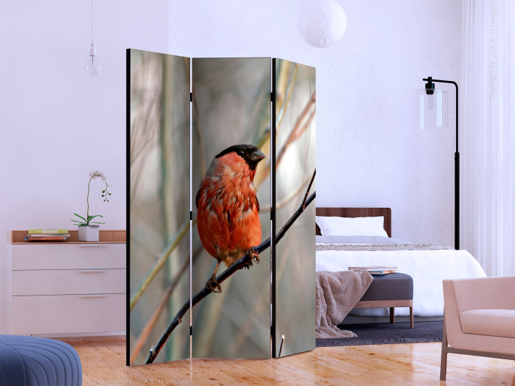 Room Divider Bullfinch in the Forest (3-piece) - red bird among tree branches 133377 additionalImage 2