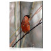 Room Divider Bullfinch in the Forest (3-piece) - red bird among tree branches 133377