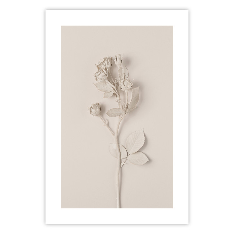 Wall Poster Harmonious Rose - unique composition with a flower on a uniform background 137277 additionalImage 8