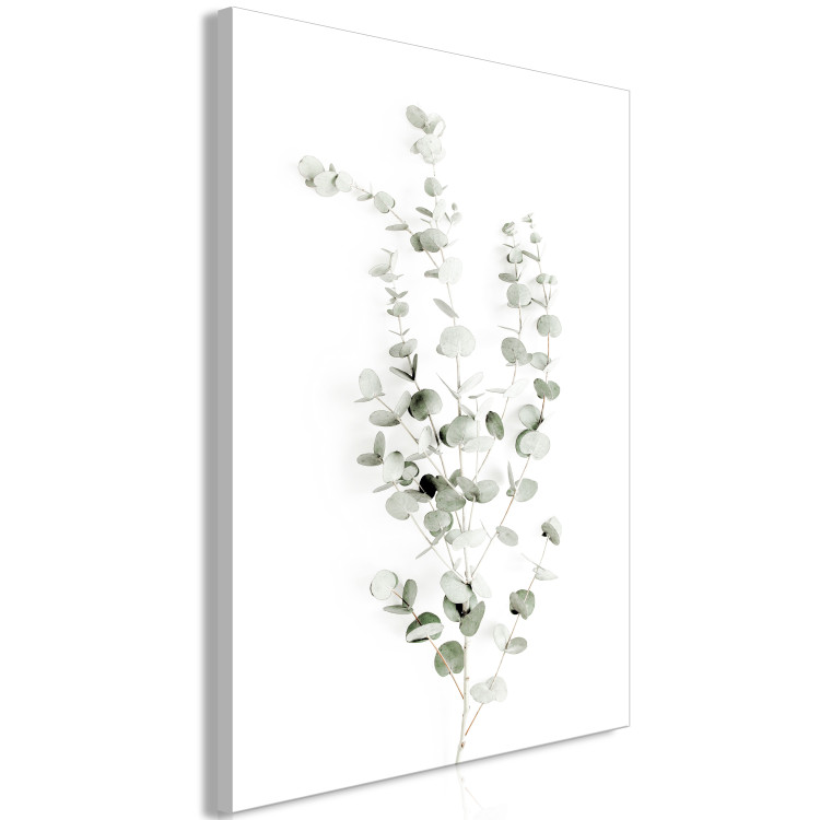 Canvas Print Eucalyptus Caesia (1-piece) Vertical - landscape of plants in boho style 137477 additionalImage 2