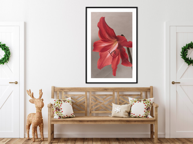Poster Red Flower - vibrant colorful flower on a contrasting background 137977 additionalImage 13