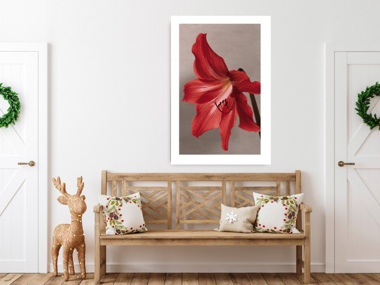 Poster Red Flower - vibrant colorful flower on a contrasting background 137977 additionalImage 2