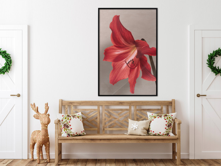 Poster Red Flower - vibrant colorful flower on a contrasting background 137977 additionalImage 15