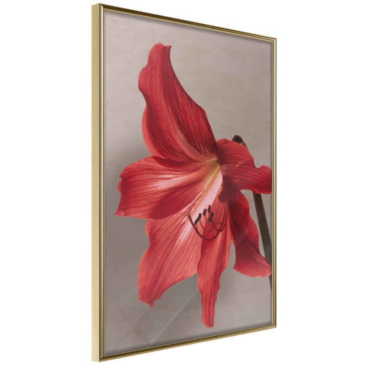 Poster Red Flower - vibrant colorful flower on a contrasting background 137977 additionalImage 20