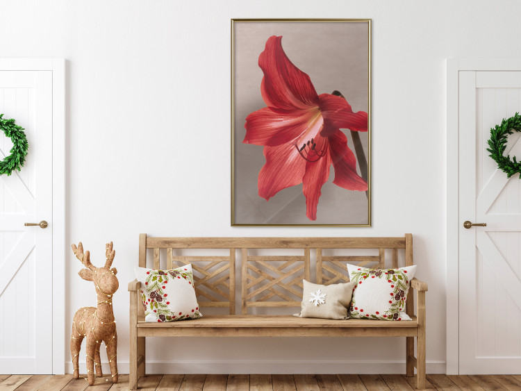 Poster Red Flower - vibrant colorful flower on a contrasting background 137977 additionalImage 14