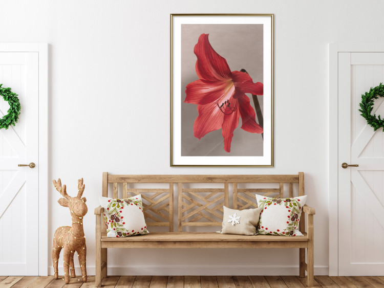 Poster Red Flower - vibrant colorful flower on a contrasting background 137977 additionalImage 12