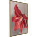 Poster Red Flower - vibrant colorful flower on a contrasting background 137977 additionalThumb 20