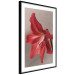 Poster Red Flower - vibrant colorful flower on a contrasting background 137977 additionalThumb 4