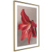 Poster Red Flower - vibrant colorful flower on a contrasting background 137977 additionalThumb 3