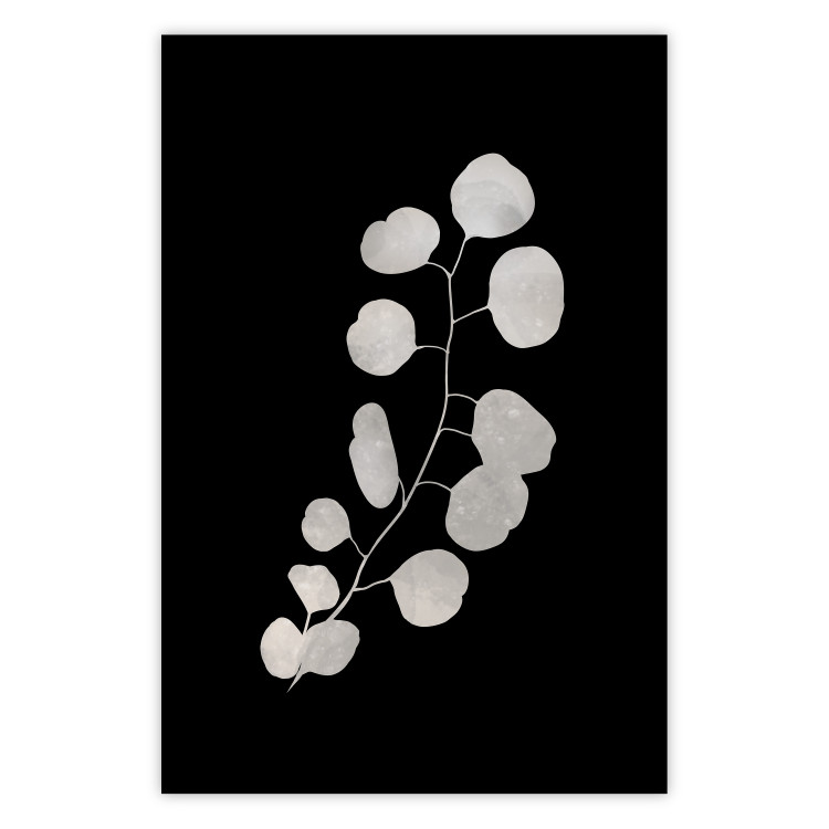 Wall Poster Eucalyptus Twig - Minimalist Plant on a Dark Background 146177