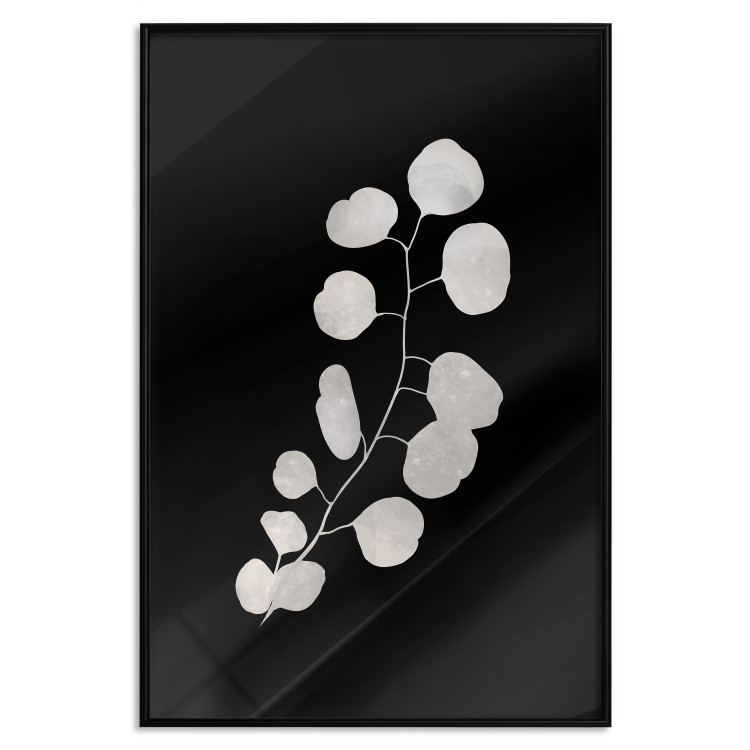 Wall Poster Eucalyptus Twig - Minimalist Plant on a Dark Background 146177 additionalImage 23