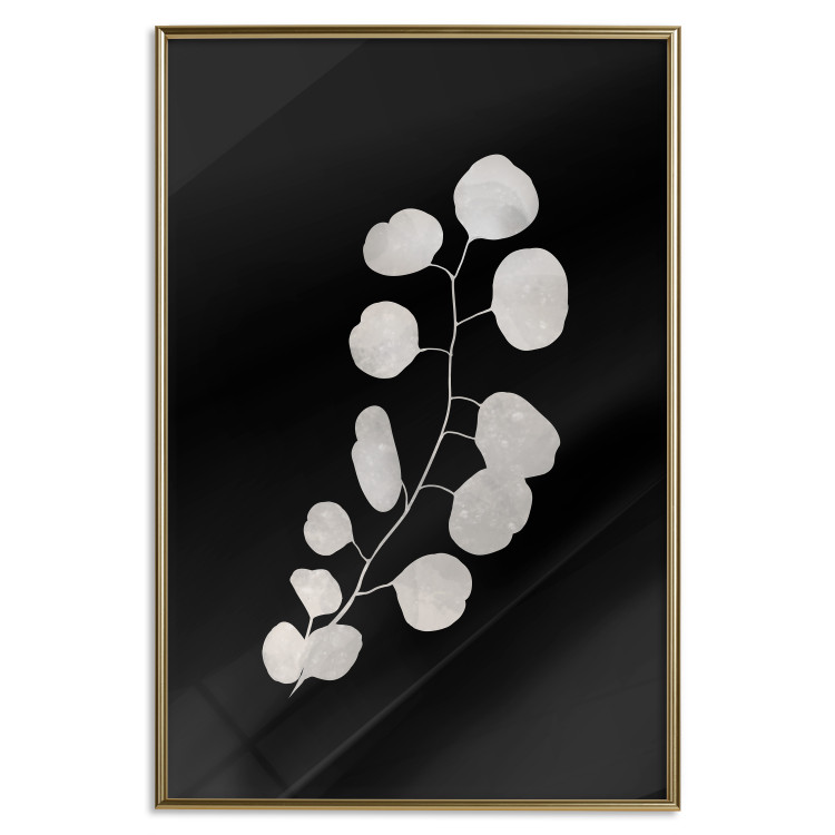 Wall Poster Eucalyptus Twig - Minimalist Plant on a Dark Background 146177 additionalImage 25