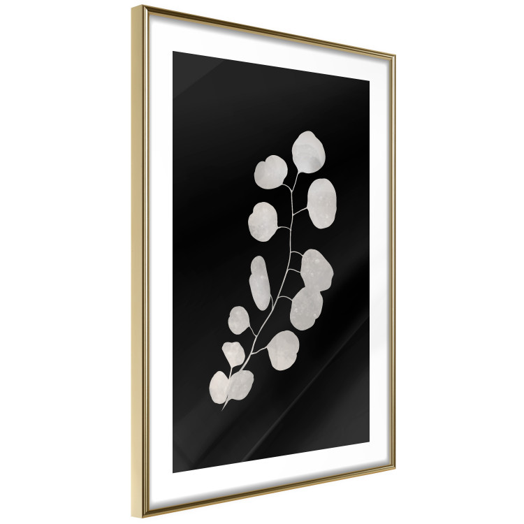 Wall Poster Eucalyptus Twig - Minimalist Plant on a Dark Background 146177 additionalImage 9