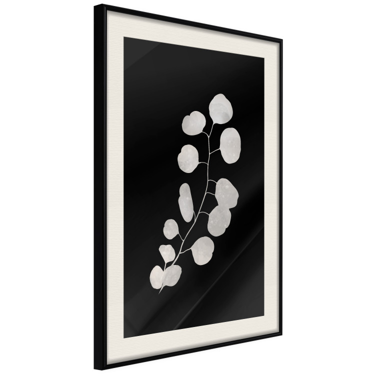 Wall Poster Eucalyptus Twig - Minimalist Plant on a Dark Background 146177 additionalImage 10