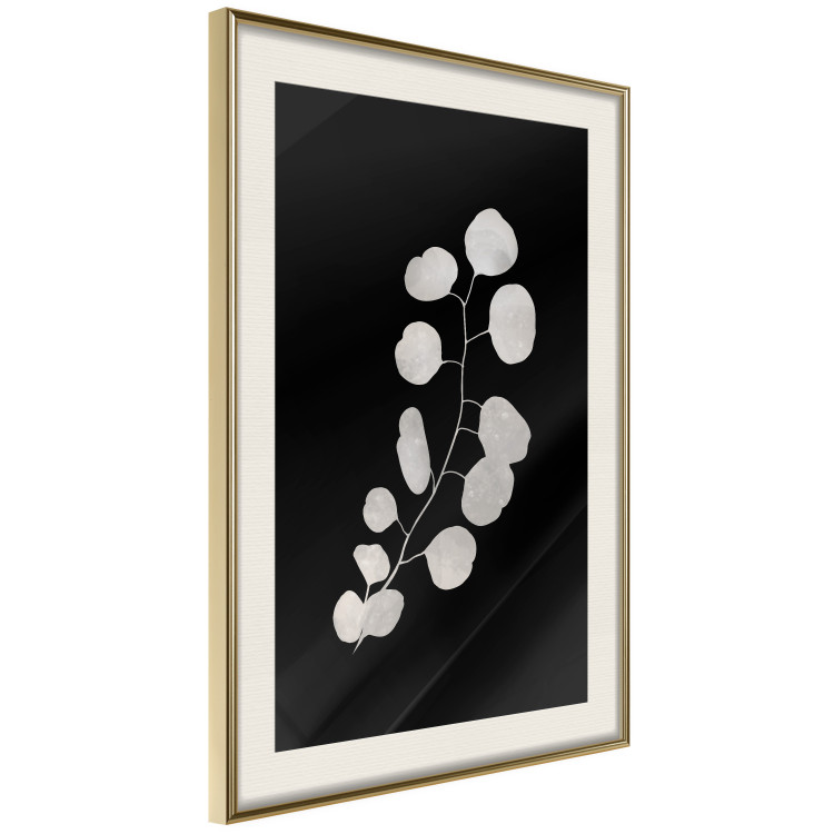 Wall Poster Eucalyptus Twig - Minimalist Plant on a Dark Background 146177 additionalImage 8