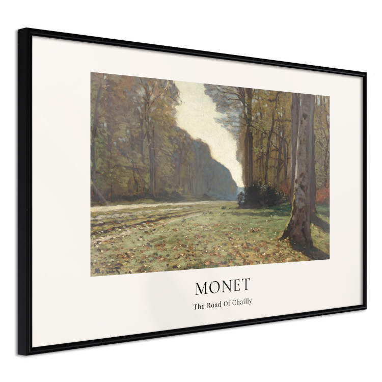 Wall Poster The Forest Path 151977 additionalImage 6