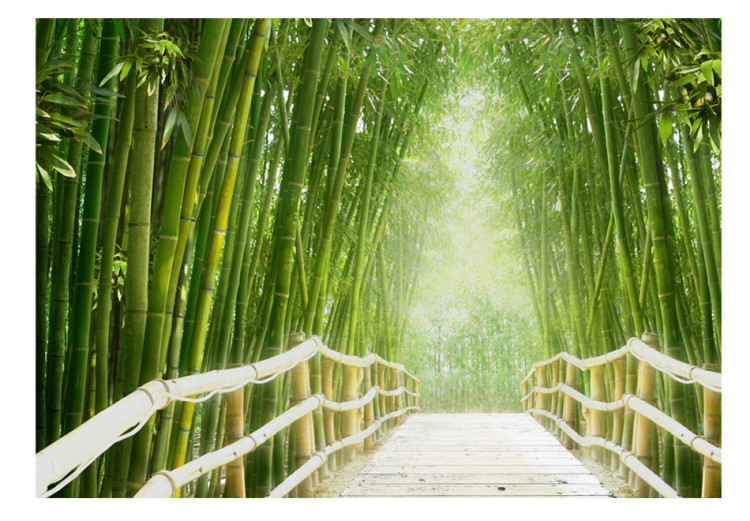 Wall Mural Tranquility of Nature - fantasy of a Chinese bridge among green bamboos 59777 additionalImage 1