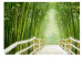 Wall Mural Tranquility of Nature - fantasy of a Chinese bridge among green bamboos 59777 additionalThumb 1