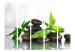 Room Divider Screen Source of Peace II - dark stones with water droplets and bamboo leaves 96077 additionalThumb 3
