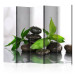 Room Divider Screen Source of Peace II - dark stones with water droplets and bamboo leaves 96077