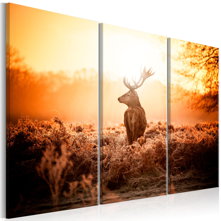 Canvas Art Print Stag in the Sun (3-piece) - Lone Deer against Scenic Field 105787 additionalImage 2