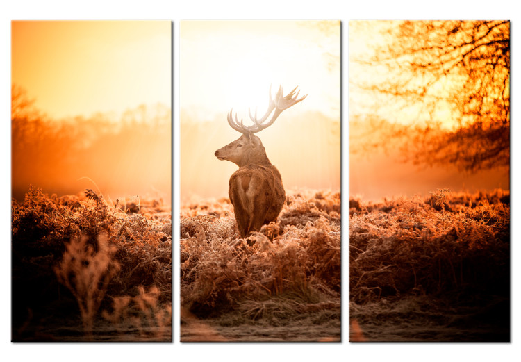 Canvas Art Print Stag in the Sun (3-piece) - Lone Deer against Scenic Field 105787