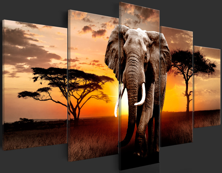 Acrylic print Elephant Migration [Glass] 106187 additionalImage 6