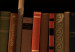 Photo Wallpaper Wooden shelves - retro-style bookcase with books and fire 106587 additionalThumb 3