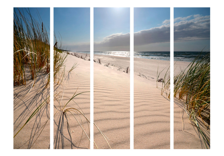 Room Divider Screen Beach in Mrzeżyno II - summer seascape and dunes against the sky and clouds 107587 additionalImage 3