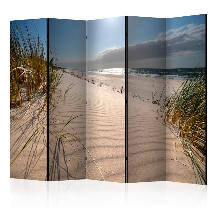 Room Divider Screen Beach in Mrzeżyno II - summer seascape and dunes against the sky and clouds 107587