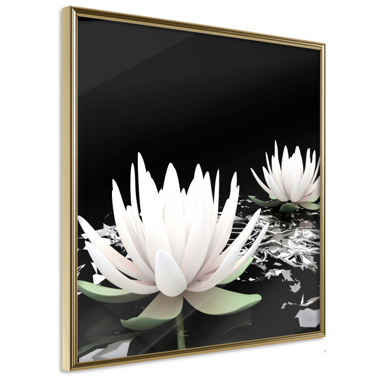 Poster Lotus Flowers - summer composition with white petals and leaves in a zen style 121887 additionalImage 14