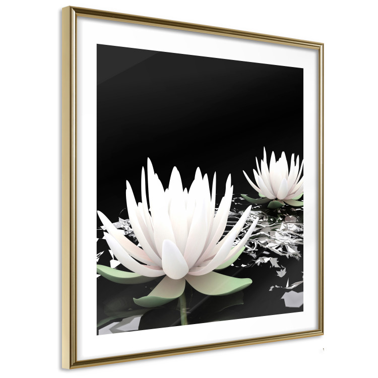 Poster Lotus Flowers - summer composition with white petals and leaves in a zen style 121887 additionalImage 8