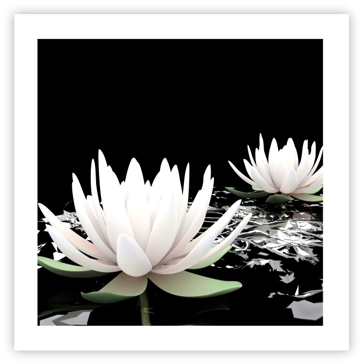 Poster Lotus Flowers - summer composition with white petals and leaves in a zen style 121887 additionalImage 25