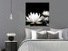 Poster Lotus Flowers - summer composition with white petals and leaves in a zen style 121887 additionalThumb 17