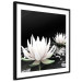 Poster Lotus Flowers - summer composition with white petals and leaves in a zen style 121887 additionalThumb 11