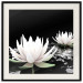 Poster Lotus Flowers - summer composition with white petals and leaves in a zen style 121887 additionalThumb 18