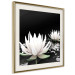 Poster Lotus Flowers - summer composition with white petals and leaves in a zen style 121887 additionalThumb 2