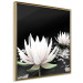 Poster Lotus Flowers - summer composition with white petals and leaves in a zen style 121887 additionalThumb 14