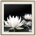 Poster Lotus Flowers - summer composition with white petals and leaves in a zen style 121887 additionalThumb 19